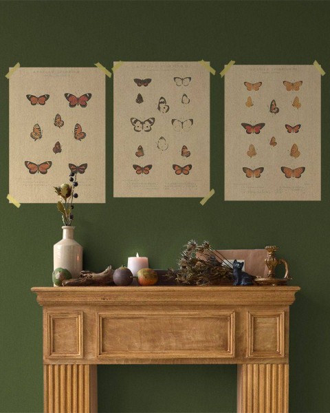 Flax Art Poster | Encyclopedia Butterfly D | FWP-AP-EN2D